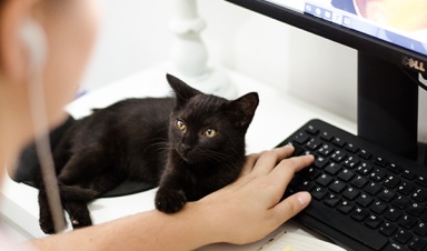 ООО "Компания "База Электроники"...