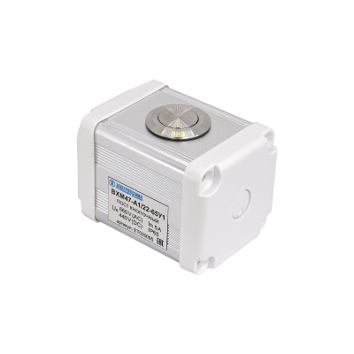 BXM47-A1/22-65У1 (1 серебристая цилиндрическая кнопка (1C1NO1NC)) (ЭТ)