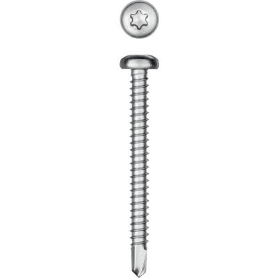 KRAFTOOL DS-P, 50 х 4.8 мм, А2, сверло, полукруглая головка, ТХ25, 150 шт, саморез нержавеющий (300931-48-050)