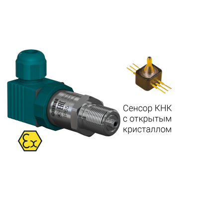 ПД100И-ДИ0,025-811-0,25-ЕХI