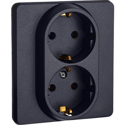 Розетка Inspiria 16А 250В 2х2P+E немецк. стандарт антрацит Leg 673753