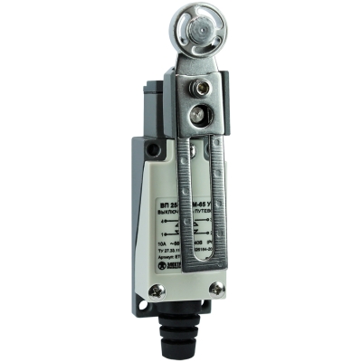 ВП 25-2143М-65 У2,рычаг со стальным роликом,рег.по длине,1з+1р,мгновенный,21х56 мм,3А,IP65 (ЭТ)